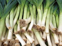 Free bunch of leeks photo, public domain vegetables CC0 image.