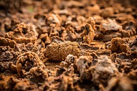 Free dried soil image, public domain nature CC0 photo.