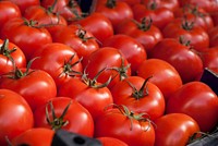 Free pile of red tomatoes image, public domain CC0 photo.