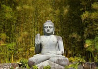 Big stone Buddha statue in forest background, free public domain CC0 photo.