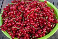 Free cherry image, public domain fruit CC0 photo.