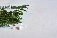 Free Christmas tree and start on a white background image, public domain CC0 photo.