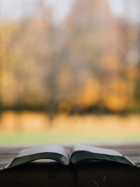 Free opened book, autumn background photo, public domain learning CC0 image.