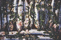 Free fish with herbs image, public domain food CC0 photo.