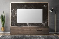TV in luxury living room