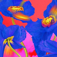 Colorful flower background wallpaper, trippy aesthetic design