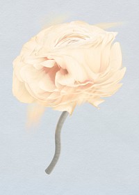 Buttercup flower PSD sticker, pastel beige trippy psychedelic art