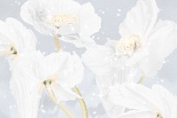 Floral background, white poppy abstract art