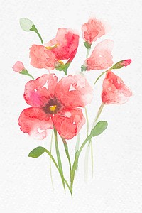 Pink poppy flower watercolor vector spring seasonal graphic