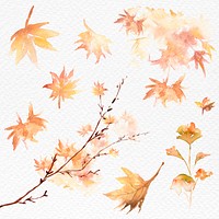 Autumn leaves set watercolor psd orange seasonal graphic