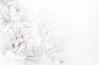 Flower background white border vector, remixed from vintage public domain images