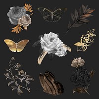Flower hand drawn illustration vector set, remixed from vintage public domain images