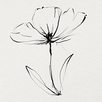 Flower hand drawn illustration psd, | Free PSD Illustration - rawpixel