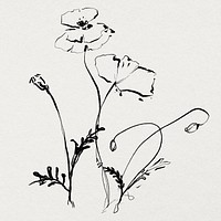 Flower doodle illustration psd, remixed from vintage public domain images