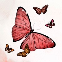 Butterfly red illustration vector, remixed from vintage public domain images