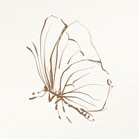 Butterfly hand drawn illustration psd, remixed from vintage public domain images