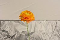 Crumpled paper texture psd effect with orange ranunculus flower