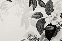 Rose wallpaper engraved hand drawn flower in bw