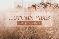 Autumn Photoshop filter effect preset PSD, blogger & influencer fall colors vibes warm tone easy add-on