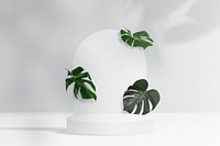 Botanical product backdrop, Monstera leaves