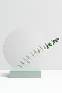 Botanical product backdrop, Eucalyptus leaves