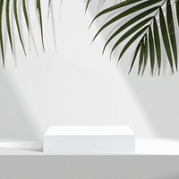 Aesthetic product backdrop, palm leaves