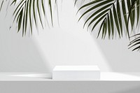 Aesthetic product backdrop, palm leaves