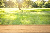 Nature product backdrop, green backyard