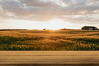 Nature product backdrop, farm and sunlight