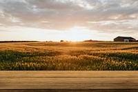 Nature product backdrop mockup psd, farm and sunlight