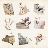 Aesthetic journal sticker, dried flower and ripped paper collage art set psd