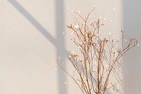 Aesthetic background psd, dried flower with shadow, glitter design