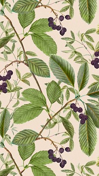 Leaf pattern mobile wallpaper, vintage botanical background, remix from the artworks of Pierre Joseph Redouté