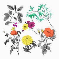 Aesthetic botanical stickers, vintage design set vector, remixed from original artworks by Pierre Joseph Redout&eacute;