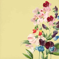 Colorful floral border background, botanical design vector, remixed from original artworks by Pierre Joseph Redouté