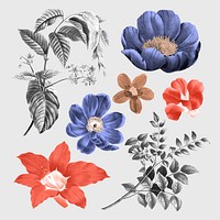 Vintage botanical stickers, retro design set psd, remixed from original artworks by Pierre Joseph Redout&eacute;