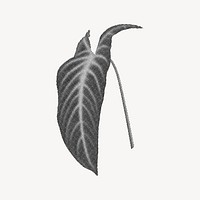 Tropical leaf graphic element, retro halftone aesthetic, black and white plant psd