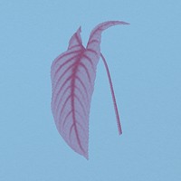 Tropical long leaf graphic element, retro aesthetic glitch halftone design psd