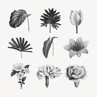 Plants & flowers collage element set, retro halftone black and white sticker pack psd