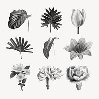 Botanical collage element set, retro halftone black and white sticker pack vector