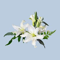 Lilies flower collage element, floral psd sticker