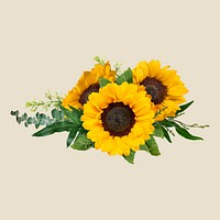 Sunflowers flower collage element, floral psd sticker