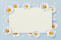 Daises flowers frame background, floral design