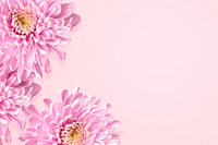 Cute chrysanthemum flower aesthetic border background, botanical