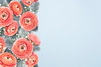 Persian buttercup flowers border background, botanical psd design