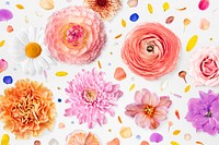 Colorful iPhone wallpaper, flower design 