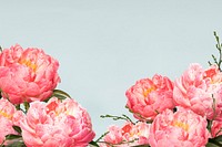 Peony flowers border background, botanical psd design