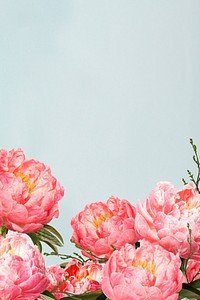 Pink flowers border background background, nature design