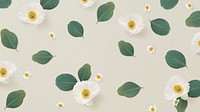White floral hd wallpaper, botanical nature design