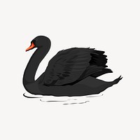 Black swan clipart, bird illustration